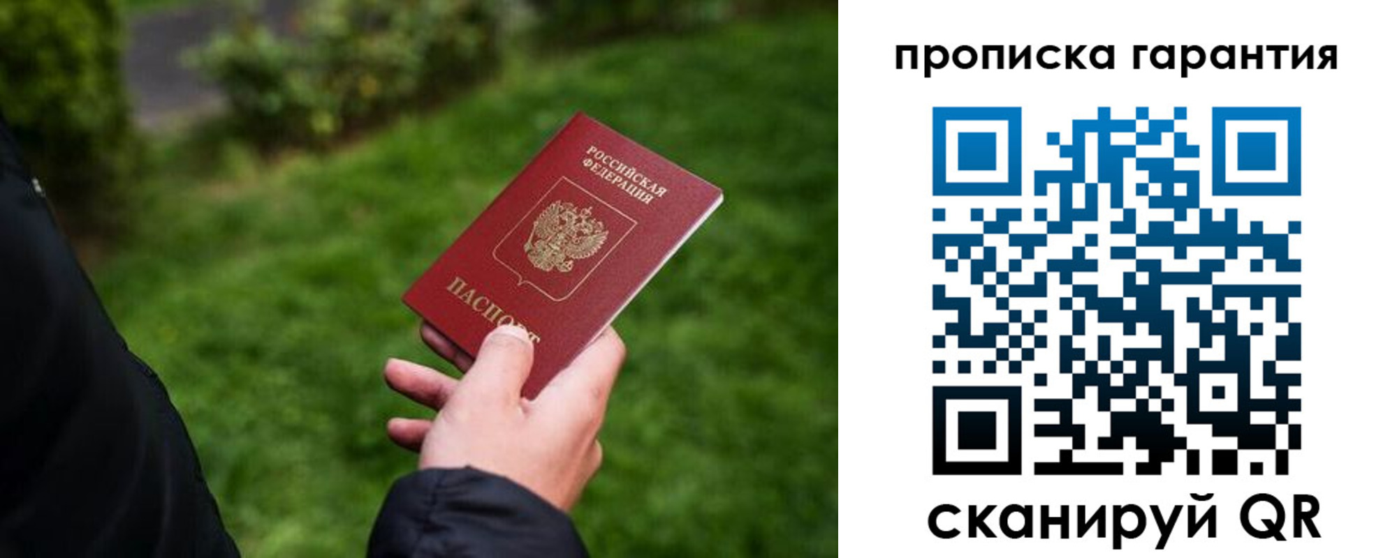 временная регистрация поиск в Снежногорске