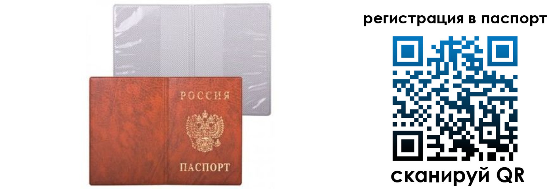 прописка ребенка в Снежногорске